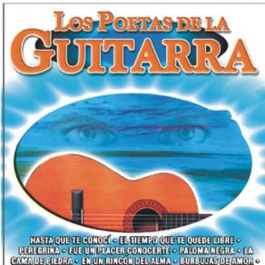 Download track Paloma Querida Los Poetas De La Guitarra