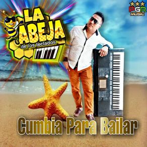 Download track Nunca Cambies La Abeja De Los Teclados