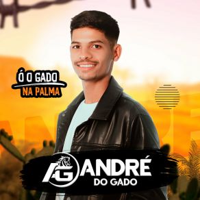 Download track To Indo Embora ANDRÉ DO GADO