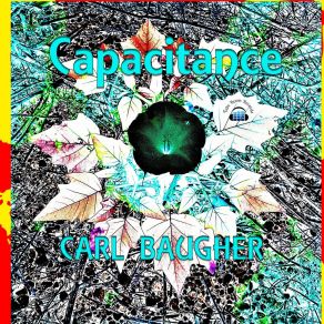 Download track Roho Carl Baugher