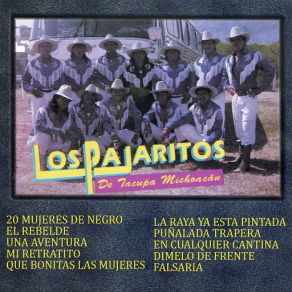 Download track Veinte Mujeres De Negro Los Pajaritos De Tacupa Michoacan