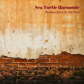 Download track Shine On You Crazy Diamond Sea Turtle Harmonic