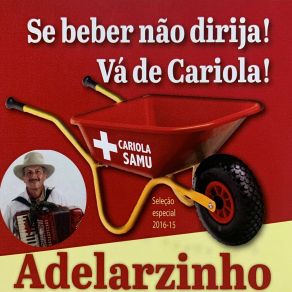 Download track Caminhoneiro De 1ª Viagem Adelarzinho