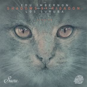 Download track Shadows Of Rigadon (Clarian Red Ocean Remix) Edu Imbernón