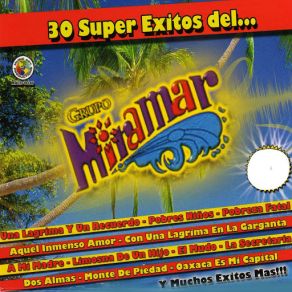 Download track Oaxaca Es Mi Capital Grupo Miramar