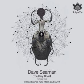 Download track The Holy Ghost (Florian Meindl Remix) Dave Seaman