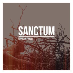 Download track Closing Remark Sanctum