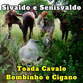 Download track Toada Missa Do Vaqueiro Em Morro Vermelho Sivaldo E Senisvaldo