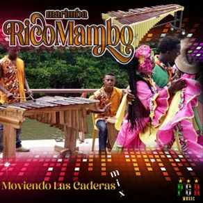 Download track Muchacho Guapo Marimba Ricomambo