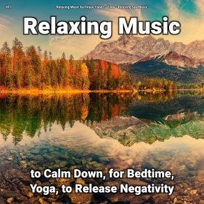 Download track Remedial New Age Relaxing Spa Music