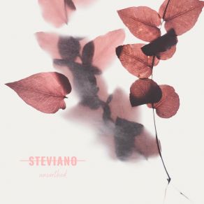 Download track Unsettled Steviano