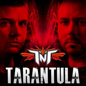 Download track Tarantula (Radio Cut) TNT A. K. A. Technoboy 'N' Tuneboy