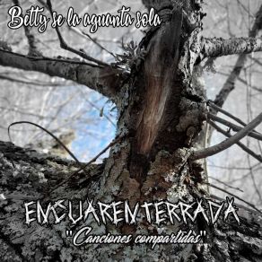 Download track A La Deriva BettyselaaguantasolaElbis J Reverri