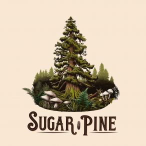 Download track Let Me Roam Sugar Pine