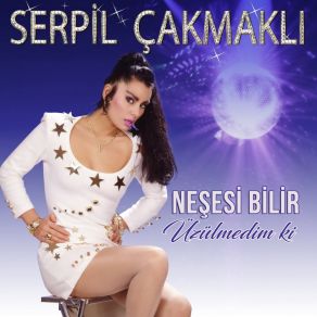 Download track Bir Hatıram Bulunsun Serpil Çakmaklı