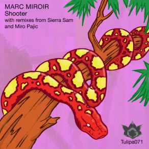 Download track Shooter (Miro Pajic Remix) Marc MiroirMiro Pajic