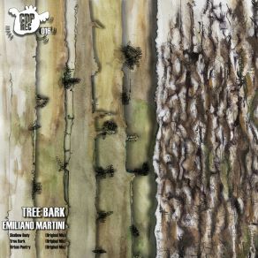 Download track Tree Bark (Original Mix) Emiliano Martini