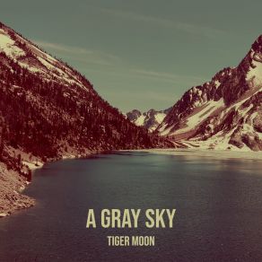 Download track A Gray Sky Tiger Moon