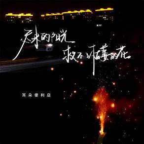 Download track 迟来的阳光救不了枯萎的花 (伴奏) 耳朵便利店