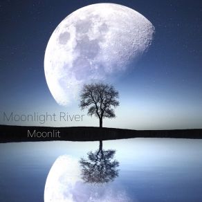 Download track Moonlit Moonlight River