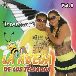 Download track Lagrimas De Escarcha La Abeja De Los Teclados