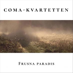 Download track Midsommardans Coma-Kvartetten