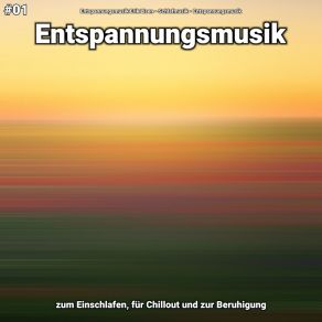 Download track Entspannungsmusik Teil 13 Entspannungsmusik