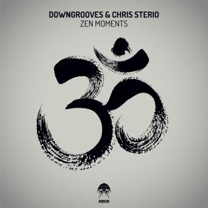 Download track Zen Moments (Adnan Jakubovic Remix) Chris Sterio, Downgrooves