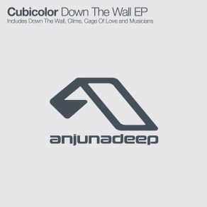 Download track Musicians (Original Mix) Cubicolor