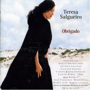 Download track Haja O Que Houver Teresa Salgueiro