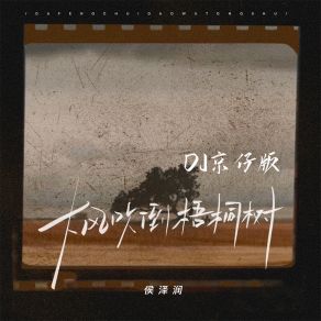 Download track 大风吹倒梧桐树 (Dj天天版伴奏) 侯泽润Tian Tian