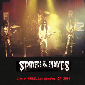 Download track Public Enemy # 1 (Live) Spiders & Snakes