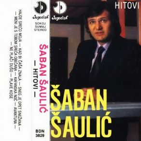 Download track Avantura Saban Saulic