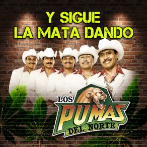 Download track Esos Pitallos Los Pumas Del Norte