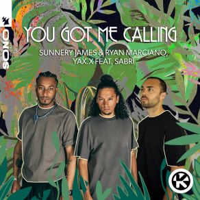 Download track You Got Me Calling SABRI