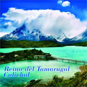 Download track Reina Del Tamarugal Calichal