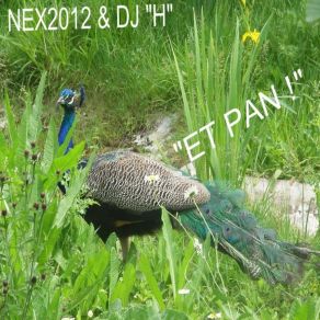 Download track Emigration Nex2012 & DJ 