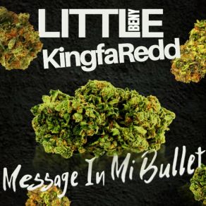 Download track Message In Mi Bullet Kingfaredd