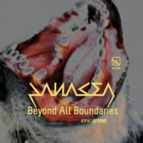 Download track Beyond All Boundaries The Panacea