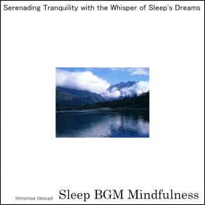 Download track Intimate Connection Of Mindful Sleep Sleep BGM Mindfulness