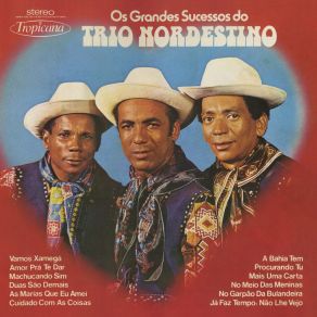 Download track Amor Pra Te Dar Trio Nordestino