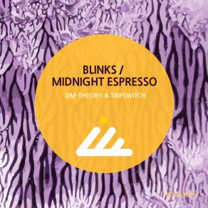 Download track Midnight Espresso (Original Mix) Tripswitch