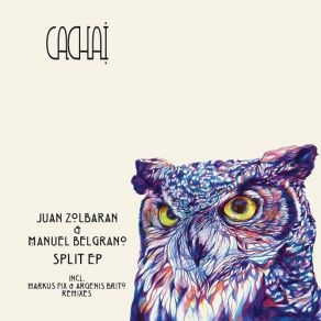 Download track El Cometa De Nikolai (Argenis Brito Remix) Juan Zolbaran, Manuel Belgrano