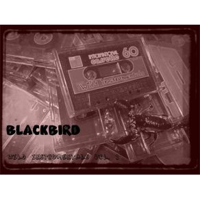 Download track Wild Instrumentals Vol. 1 (Side B) Blackbird