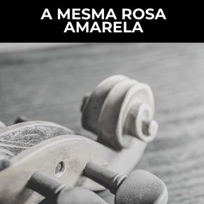 Download track A Mesma Rosa Amarela Maysa