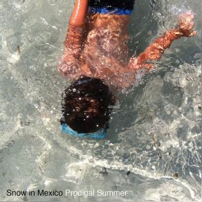 Download track Prodigal Summer Snow In Mexico