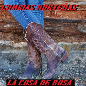 Download track Botellita De Jerez Cumbias Nortenas