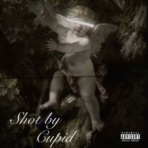 Download track Shot By Cupid Hav0c