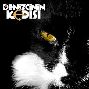 Download track Yanıma Gel Denizcinin Kedisi