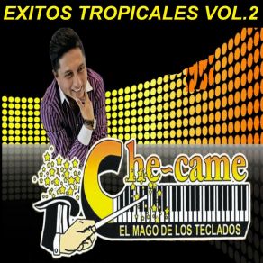 Download track A Fuego Lento Che-Came El Mago De Los Teclados